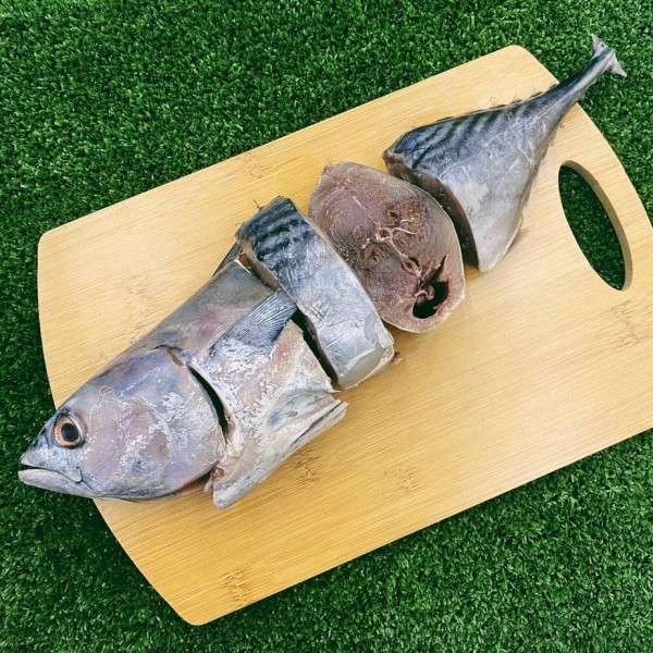 Ikan Tongkol 1Kg (Siap Siang & Cuci)