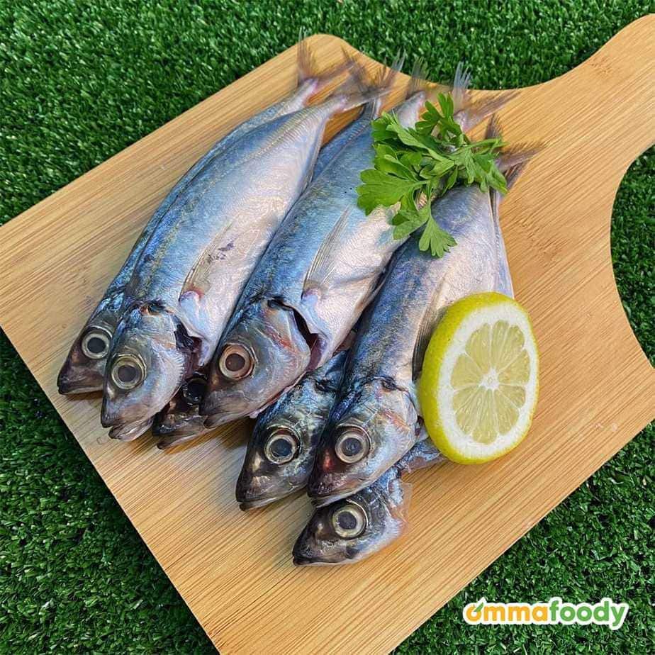 Ikan Sardin 500g (Siap Siang & Cuci)