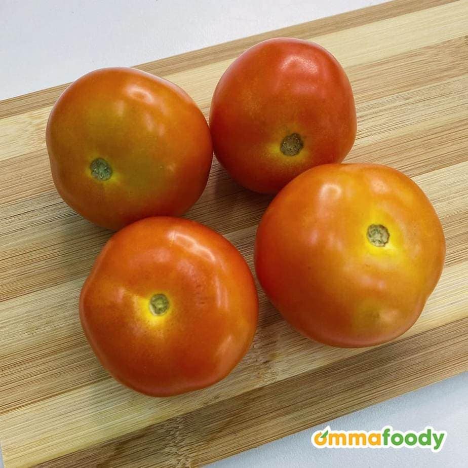 Tomato (M)