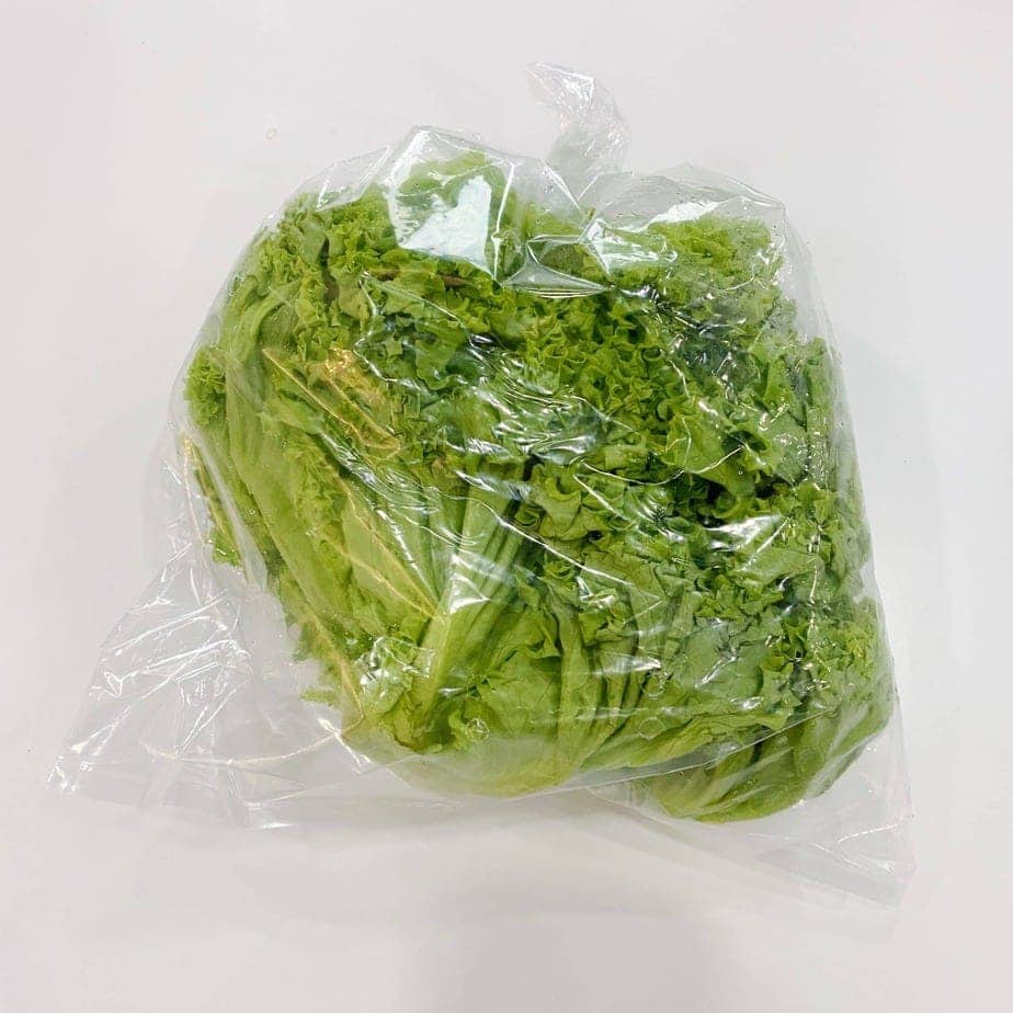 product-grid-gallery-item Daun Salad (Green Coral)