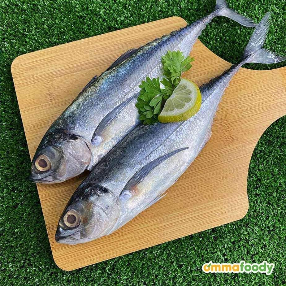 Ikan Cencaru 500g (Siap Siang & Cuci)